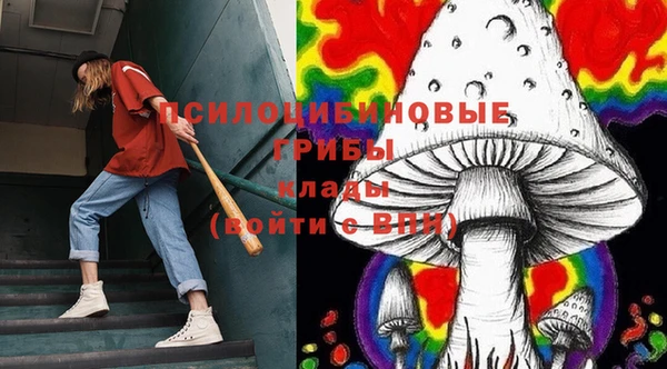 винт Алзамай