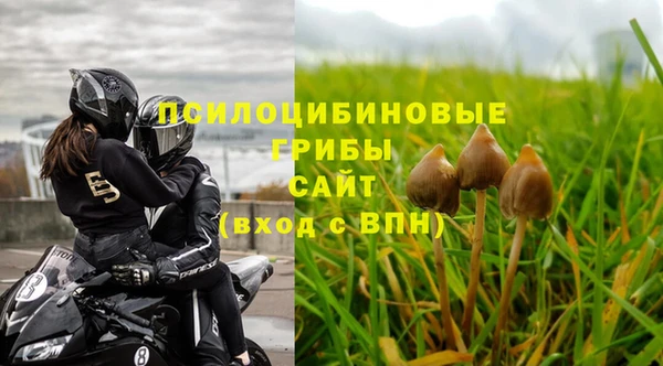ECSTASY Алексин